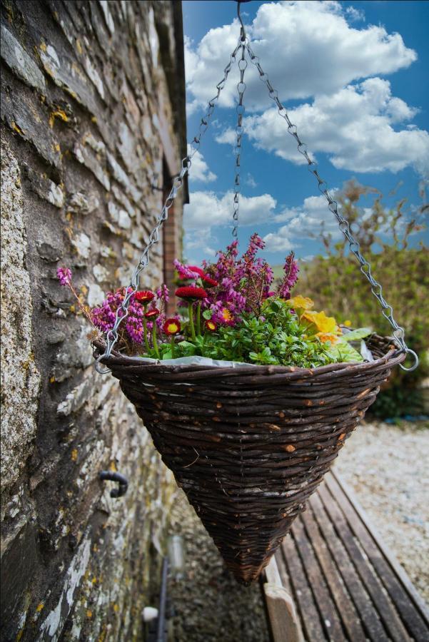 Polrunny Farm Seaberry Cottage With A Sea View And Log Burner Boscastle Bagian luar foto