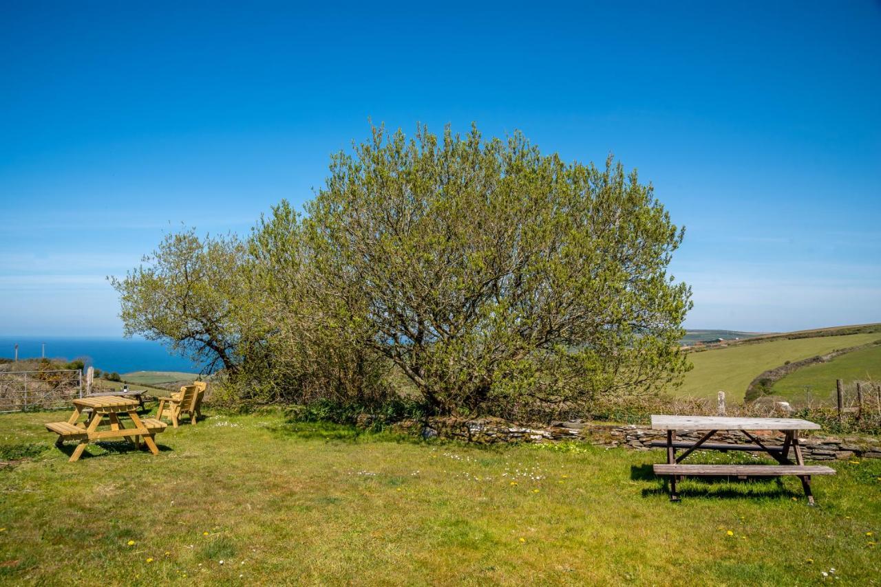 Polrunny Farm Seaberry Cottage With A Sea View And Log Burner Boscastle Bagian luar foto