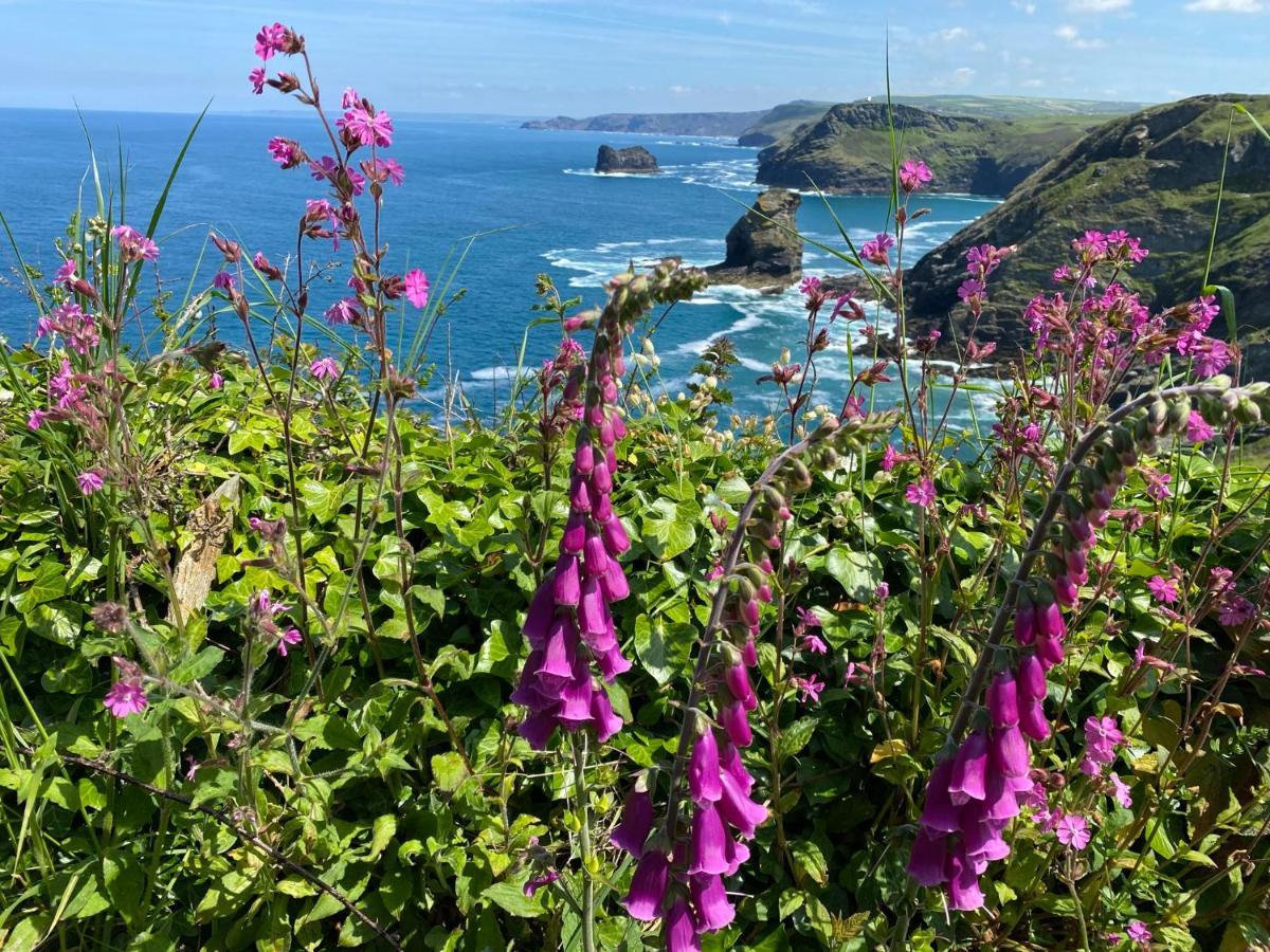 Polrunny Farm Seaberry Cottage With A Sea View And Log Burner Boscastle Bagian luar foto