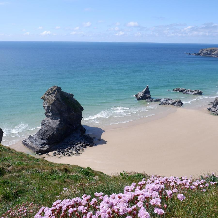 Polrunny Farm Seaberry Cottage With A Sea View And Log Burner Boscastle Bagian luar foto
