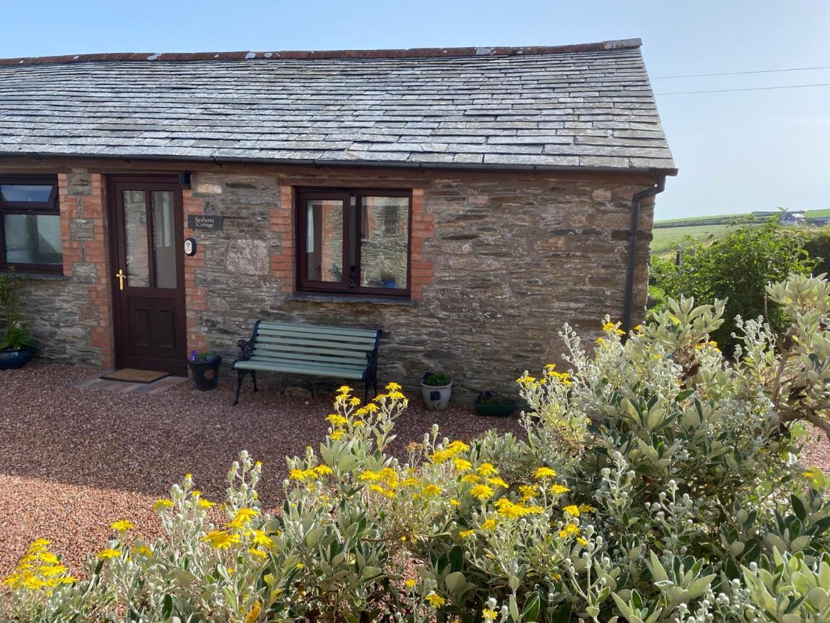 Polrunny Farm Seaberry Cottage With A Sea View And Log Burner Boscastle Bagian luar foto