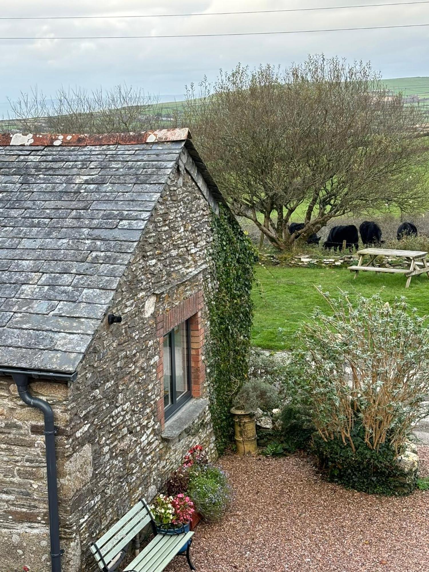 Polrunny Farm Seaberry Cottage With A Sea View And Log Burner Boscastle Bagian luar foto